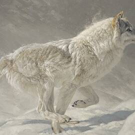 Lady in Grey by Greg Beecham