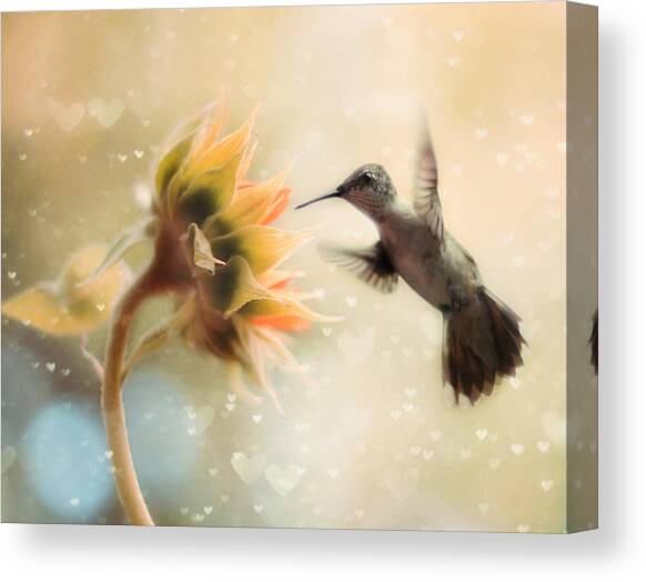 Like a Moth To a Flame Canvas Art Print by Amy Tyler