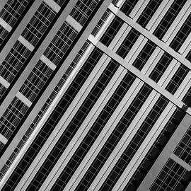 Lines And Lines by Mathilde Guillemot