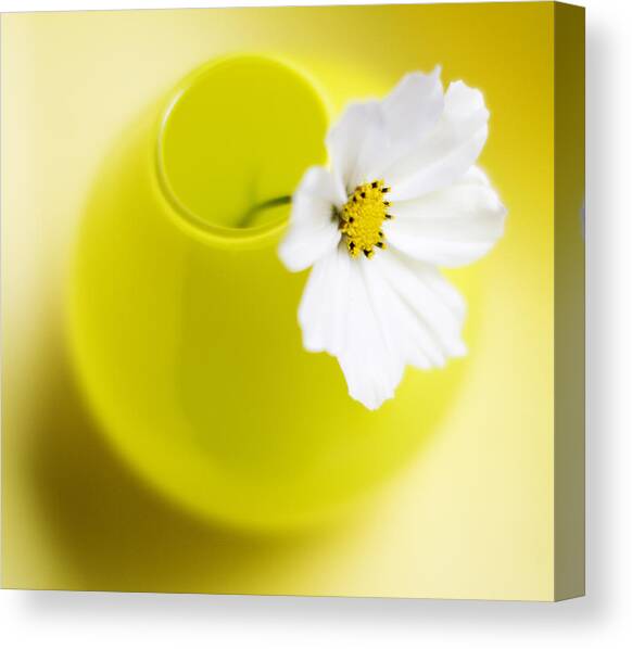 Little Yellow Vase Canvas Art Print by Rebecca Cozart