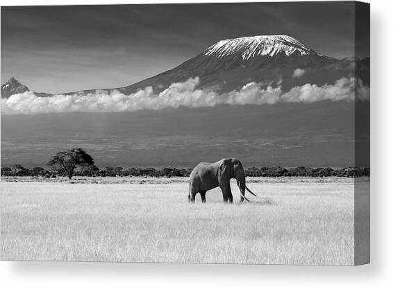 Lost Colors II Canvas Art Print by Ibrahim Canakci