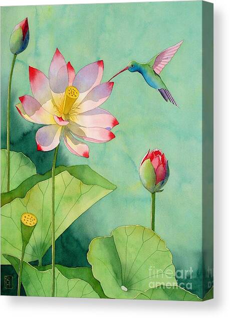 Lotus And Hummingbird Canvas Art Print by Robert Hooper
