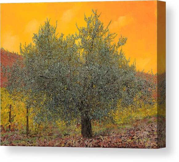 L'ulivo Tra Le Vigne Canvas Art Print by Guido Borelli