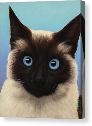 Cats Canvas Prints for Sale