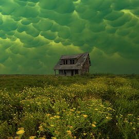 Mayhem  by Aaron J Groen