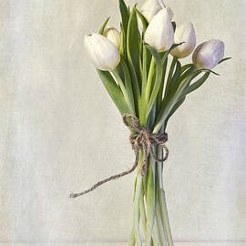 mazzo by Priska Wettstein