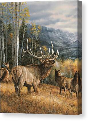 Wildlife Canvas Prints for Sale