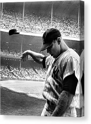 Sports Canvas Prints for Sale