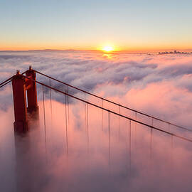 Monday Mornings by Toby Harriman