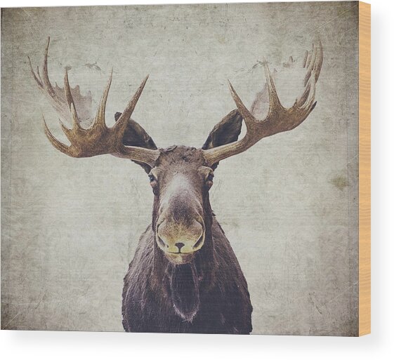 Moose Wood Print