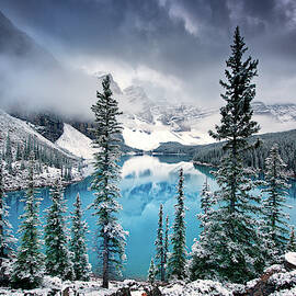 Morning Blues by Trevor Cole