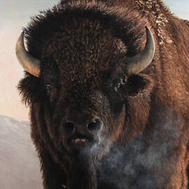 Morning in the Foothills  by Dreyer Wildlife Print Collections 