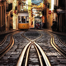 Morning Light by Jorge Maia