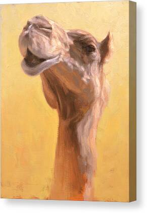 Camels Canvas Prints for Sale