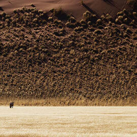 Namibia Oryx by Nina Papiorek