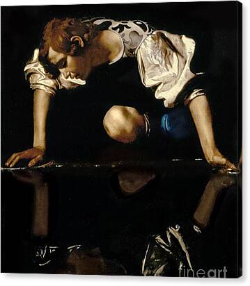 Narcissus Canvas Print