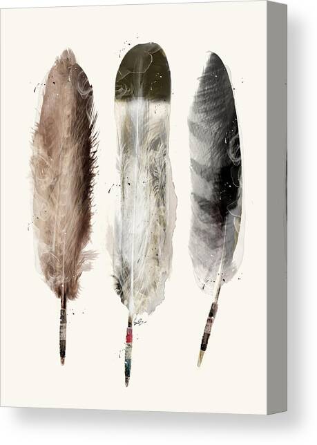 Little Feathers Canvas Art Print by Bri Buckley