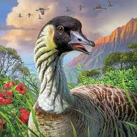 Nene by Mark Fredrickson