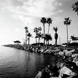Newport Beach Jetty by Paul Velgos