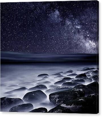 Night Shadows Canvas Print