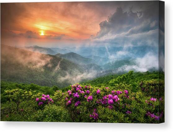 North Carolina Blue Ridge Parkway Spring Appalachian Mountains NC Canvas Art Print by Dave Allen