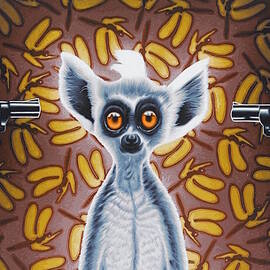 oh say can you see by Stephen Hall