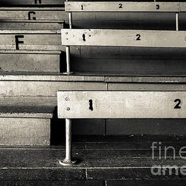 Old Stadium Bleachers by Diane Diederich
