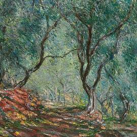Olive Trees in the Moreno Garden by Claude Monet