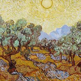 Olive Trees by Vincent Van Gogh
