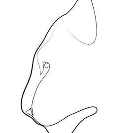 oneline tiger by Quibe Sarl