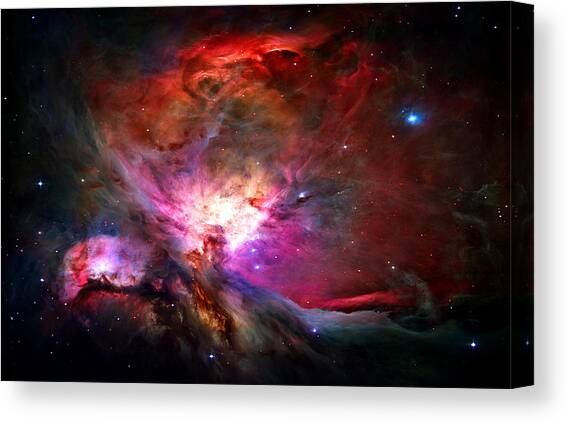 Orion Nebula Canvas Art Print by Michael Tompsett