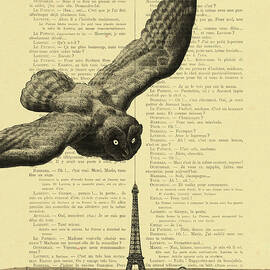 Owl in Paris by Madame Memento