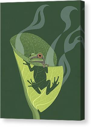 Amphibians Canvas Prints for Sale