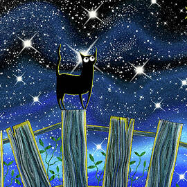 Paper Star  by Andrew Hitchen