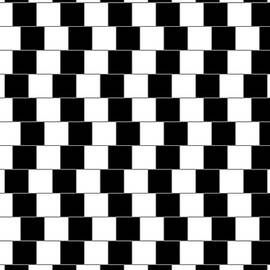 Parallel Lines by Michael Tompsett