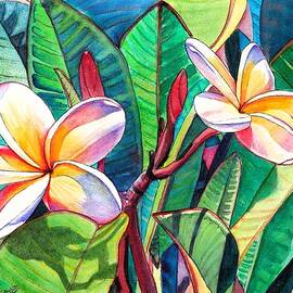 Plumeria Garden by Marionette Taboniar