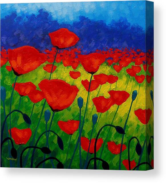 Poppy Corner II Canvas Art Print by John  Nolan