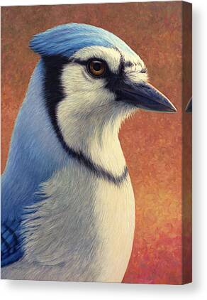 Blue Jay Canvas Prints for Sale