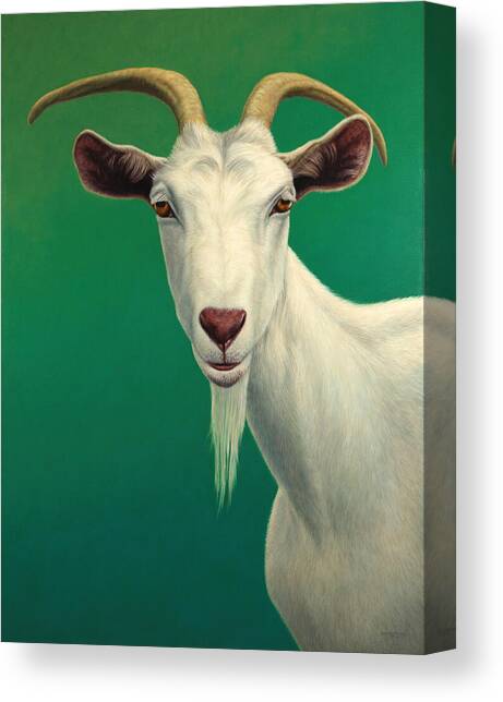 Portrait of a Goat Canvas Art Print by James W Johnson