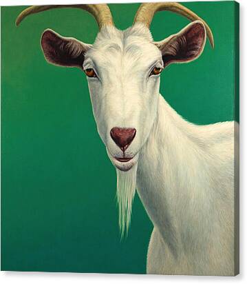 Portrait Of A Goat Canvas Print