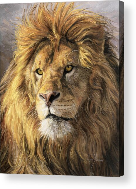Portrait Of A Lion Acrylic Print