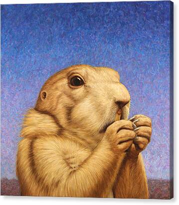 Prairie Dog Canvas Print