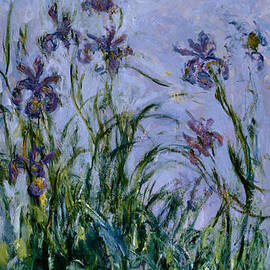 Purple Irises by Claude Monet