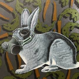 Rabbit_Own by Stephen Hall