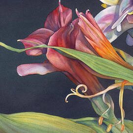 Reaching by Sandy Haight