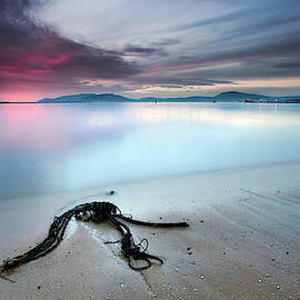 Read The Signs by Rui David