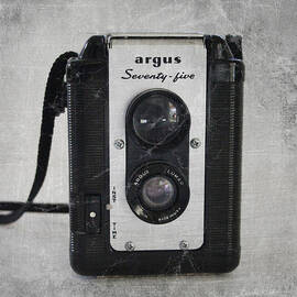 Retro Camera by Linda Woods