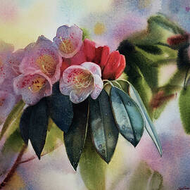 Rhododendron by Svetlana Orinko