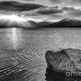 Ripple Effect by John Farnan