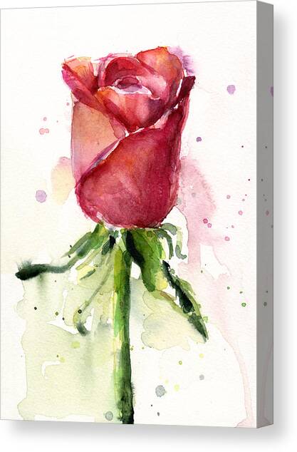 Rose Watercolor Canvas Art Print by Olga Shvartsur